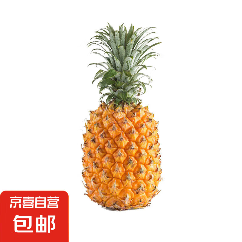 廣東湛江徐聞菠蘿 香水菠蘿 1個 凈重1.3-2斤 5.99元