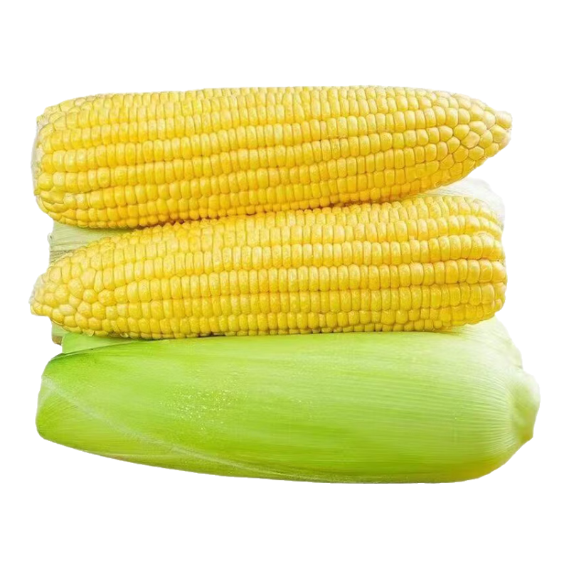 plus会员:京鲜生云南水果玉米 净重5斤单果280g+ 甜玉米棒新鲜蔬菜应季 源头直发 14.73元