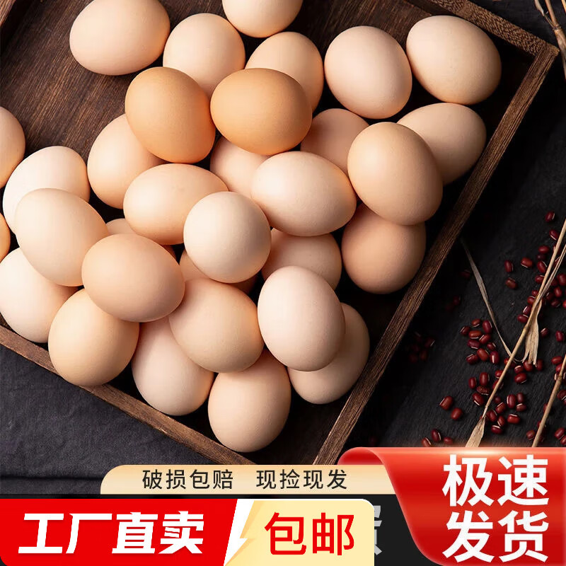 谷物鮮雞蛋 農(nóng)戶散養(yǎng)新鮮雞蛋 單枚40g±5 15枚（40克/枚） 4.08元