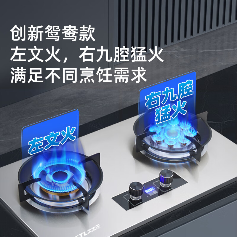 太太乐 TTL 燃气灶煤气灶双灶家用台嵌两用一级能效 猛火双九腔+定时+熄火保护 券后264.15元