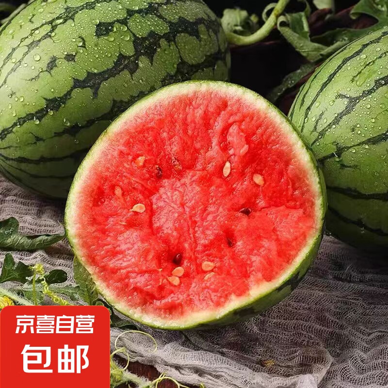 全美 2K小糖丸西瓜 2-3斤 4.95元