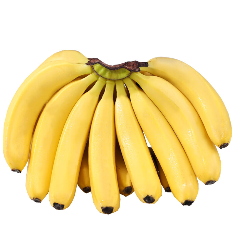 静益乐源 新鲜云南大香蕉 2500g 9.9元