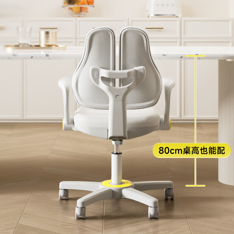 護(hù)童 兒童學(xué)習(xí)椅寫字椅小家用可升降調(diào)節(jié)靠背座椅升降椅電腦椅腳踏 G102_星云紫 券后228.74元
