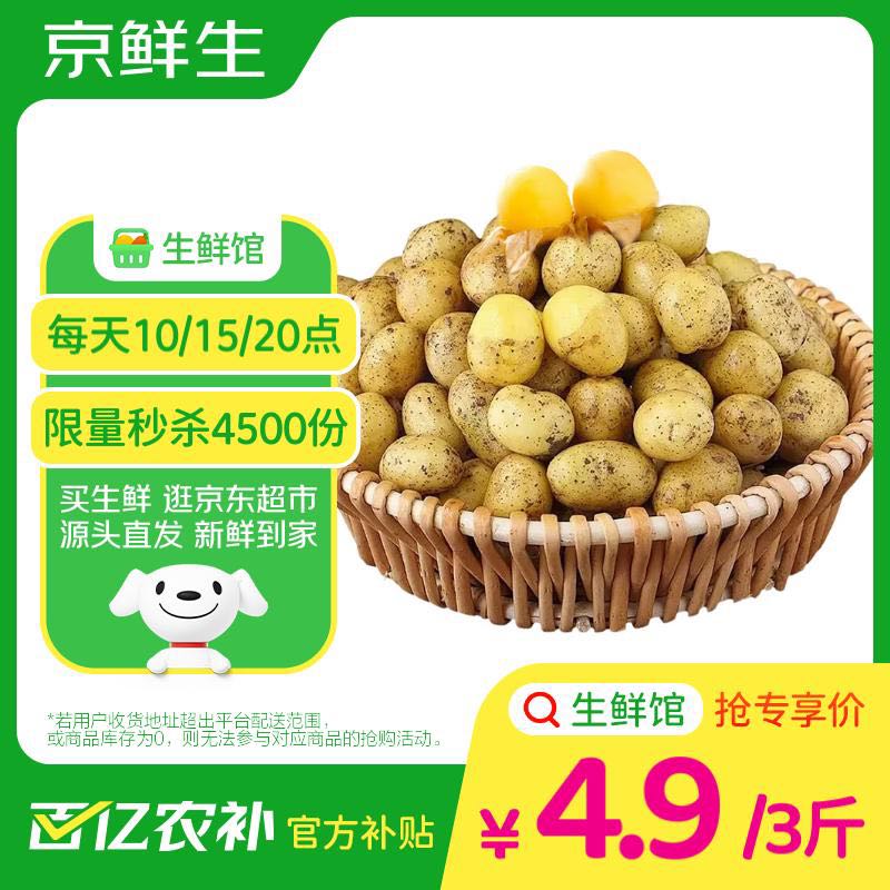 京鮮生 恩施小土豆凈重3斤單果50g起 黃心馬鈴薯源頭直發(fā) 券后4.77元