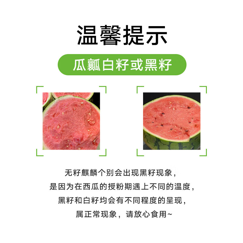 京鲜生 麒麟西瓜 净重5-6斤 1枚装 水果源头直发 券后19.6元