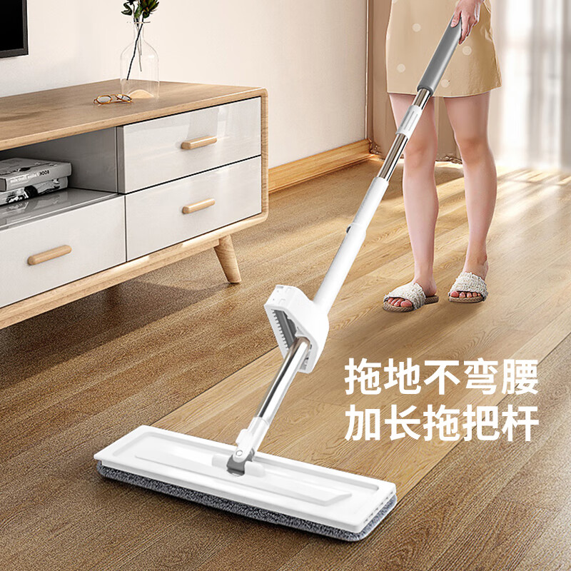佳幫手 平板拖把家用一拖凈免手洗2025吸水洗脫刮拖一體拖地神器拖布墩布 16.9元