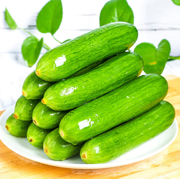 新鮮現(xiàn)摘！Goodfarmer 佳農(nóng) 寶菜 山東荷蘭水果黃瓜 凈重3斤 單果80g+ ￥9.77