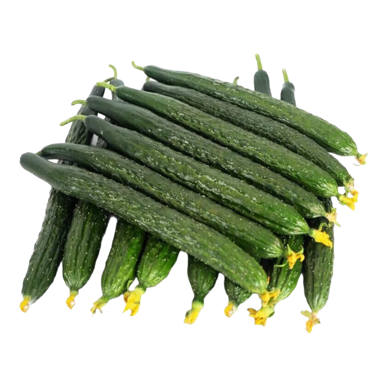 新鲜黄瓜 现摘现发新鲜蔬菜生鲜可生吃炒菜非水果黄瓜 囤货装 5斤 净重 5元（需领券）