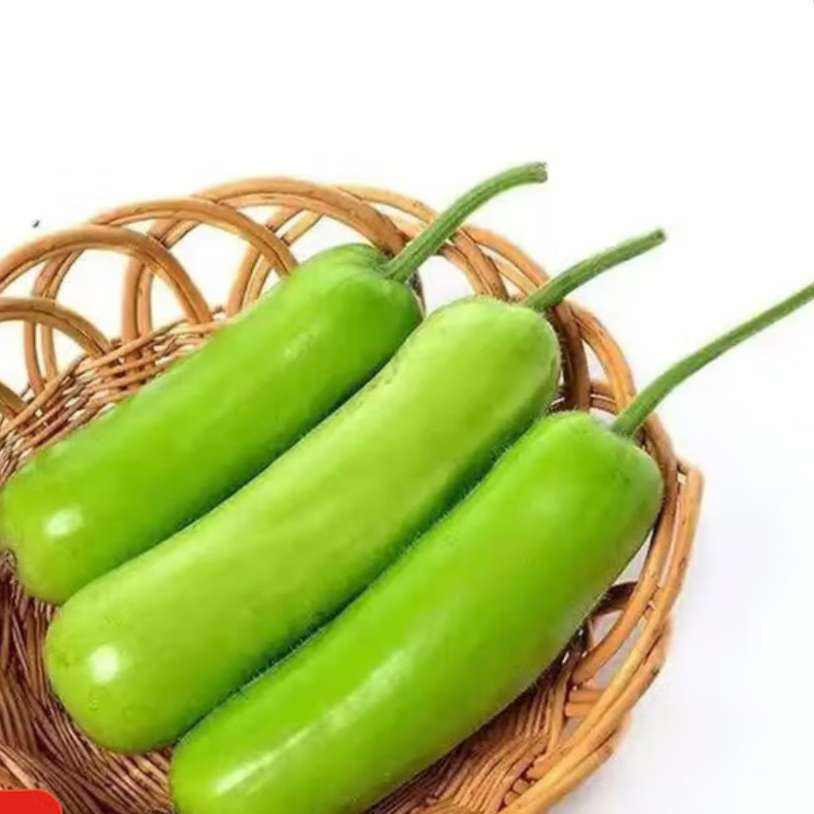 农家新鲜现摘瓠子瓜 蒲瓜胡瓜 新鲜蔬菜生鲜夜开花 瓠瓜 4斤 带箱 5元（需领券）