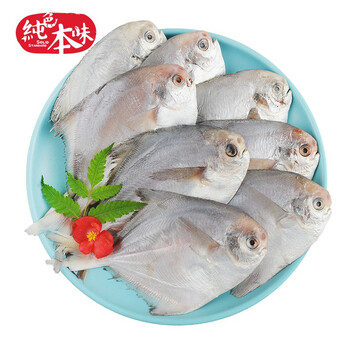 纯色本味 冷冻舟山口袋鲳 700g 银鲳鱼 白鲳 烧烤 平鱼 地标产品 生鲜鱼类