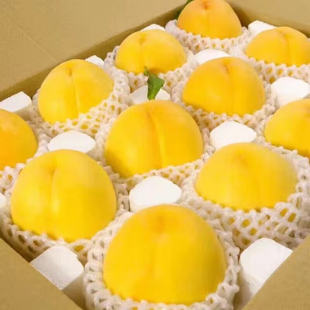 京格 顺丰 山东蒙阴 大黄桃 黄金桃 2.5斤装（6-8个） 20.98元（需买2件，需用券）