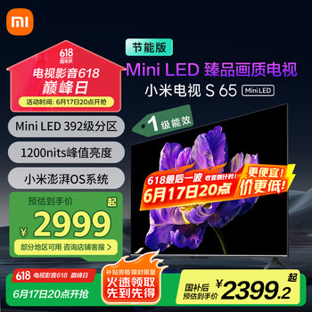 PLUS：MI/小米 电视 65英寸 S L65MA-SPL