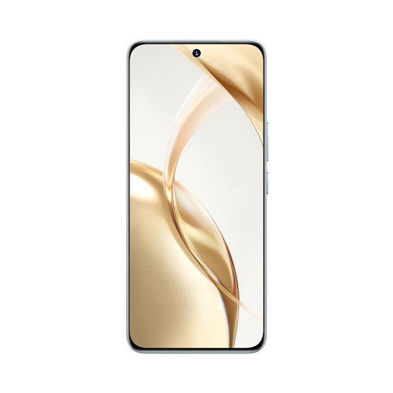 荣耀 HONOR 200 5G手机 12GB+512GB 天海青 1316.65元