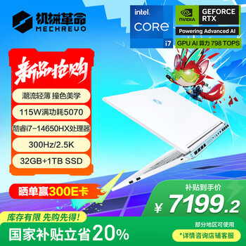 机械革命 极光X 潮玩版 游戏本(i7-14650HX 32G 1T RTX5070 2.5K屏 300Hz 白)