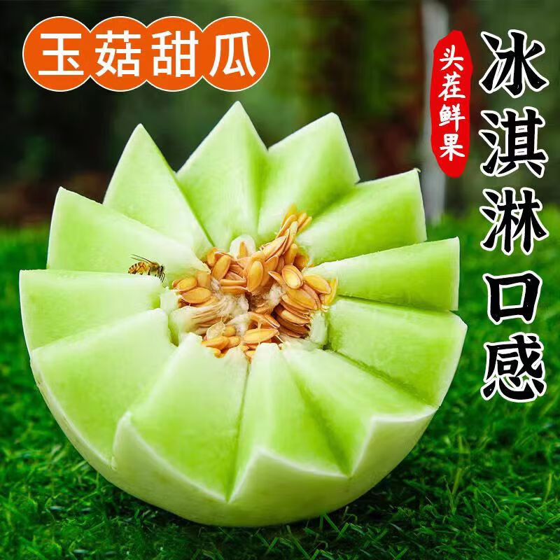 泽华果品 山东冰淇淋玉菇甜瓜 应季新鲜水果整箱 4.5斤 -5斤2-3个 山东玉菇甜瓜 券后11.9元