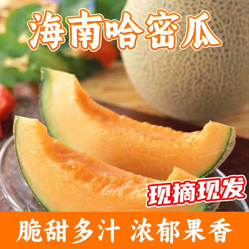 山东哈密瓜 9斤带箱(净重8.5斤)3-5个 精选装 18.9元