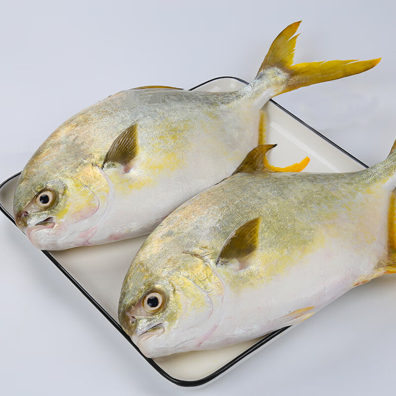 翔泰 深海金鲳鱼 900g 41.9元