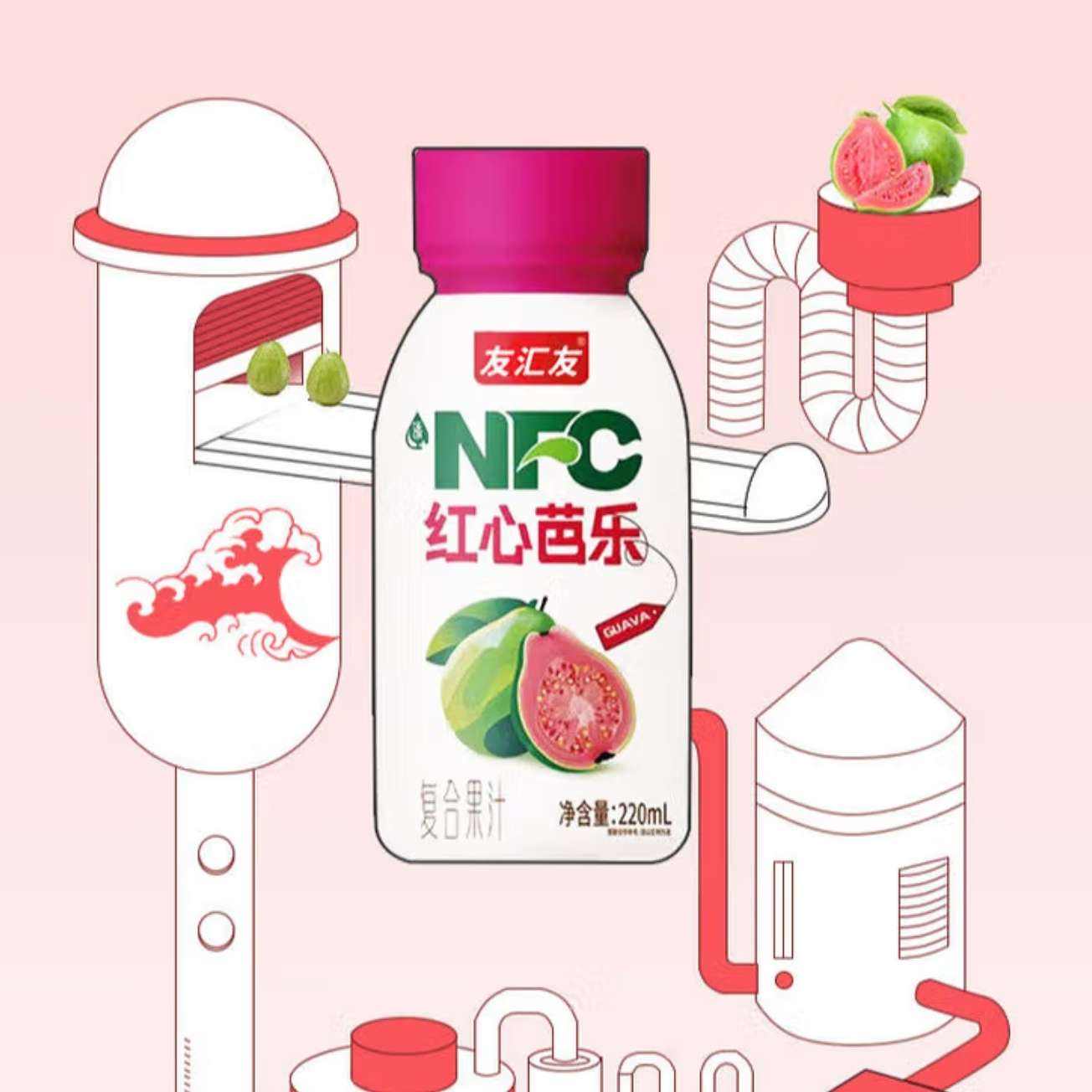 NFC红心芭乐汁0脂肪100﹪复合果汁批发饮料 220mlX10瓶 F 220ml*10瓶 25.9元（需领券）