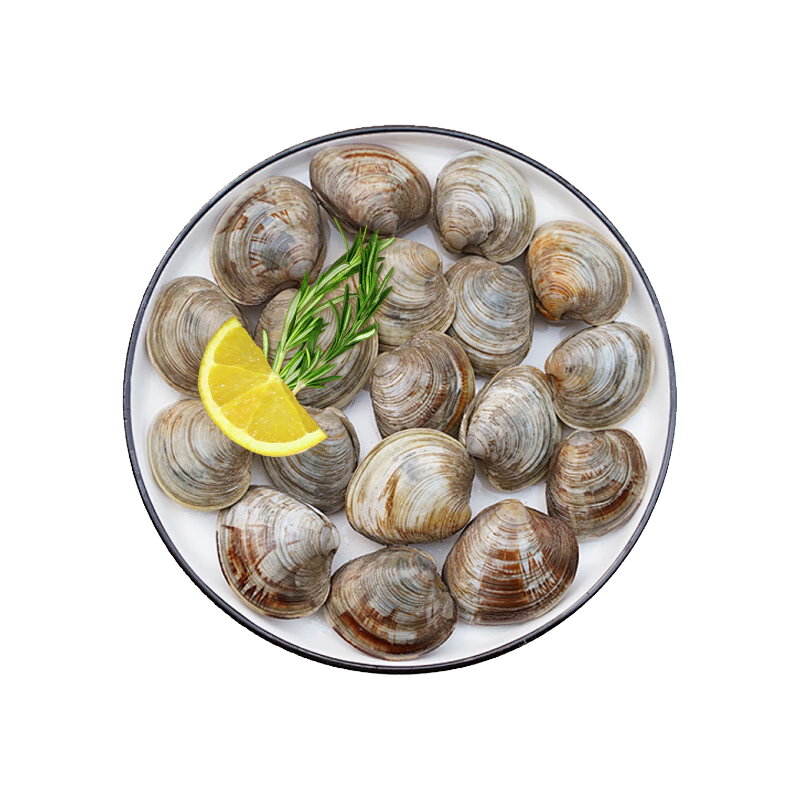鲜京采【活鲜】大美贝净重5斤 每斤17-22粒 新鲜蛤蜊花甲 源头直发 18.9元