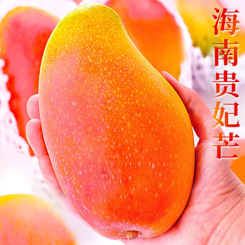 需首购、再降价:元珍鲜诚海南贵妃芒果 5斤(净果4.5斤)单果150g+ 源头严选 甄选品质 11.9元（微信小程序下单更低）