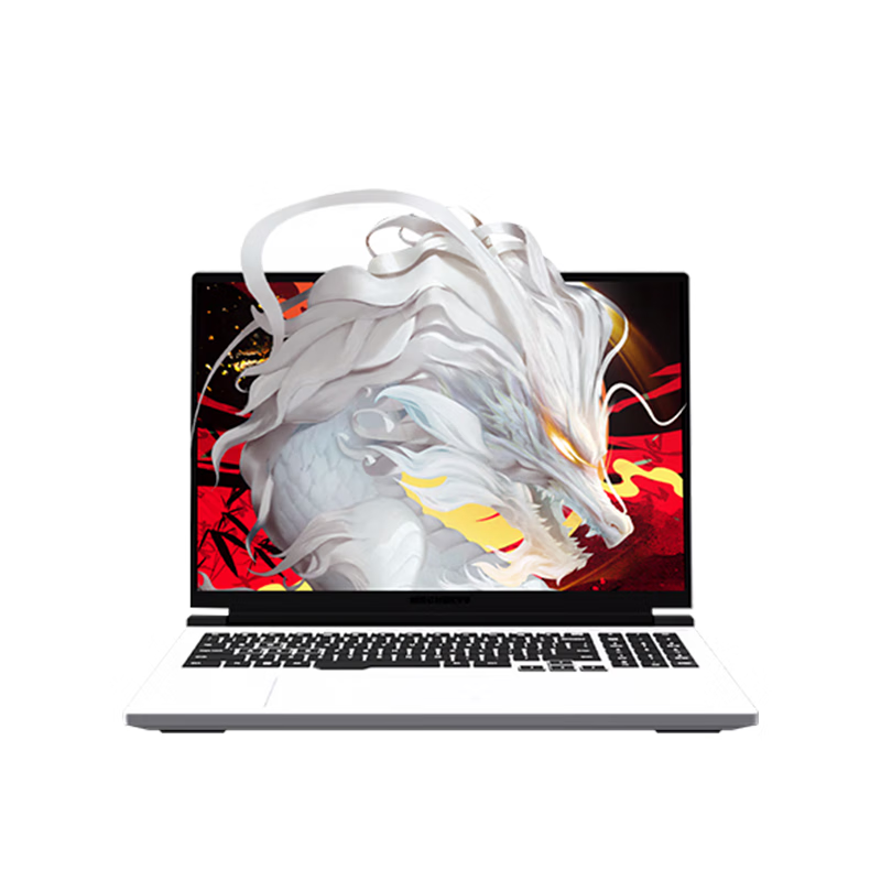 机械革命 电竞游戏笔记本电脑 蛟龙16Pro 16英寸、R7-7745HX、16G、512G、RTX4060、240Hz、2.5K、白 5188.8元（需领券）