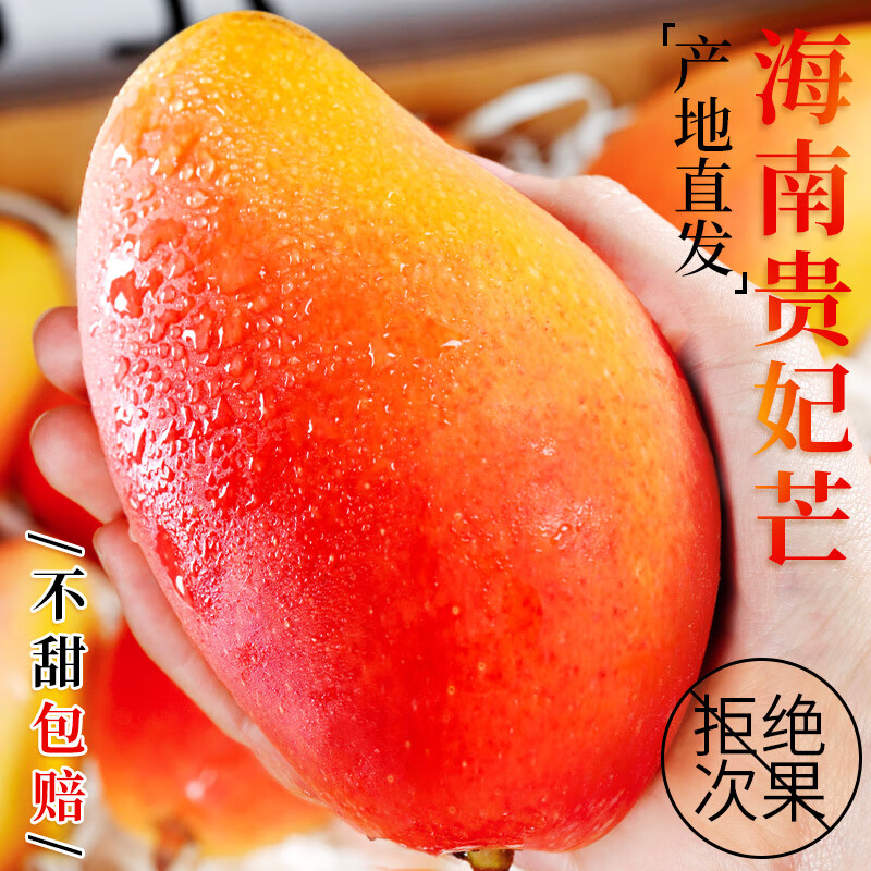 庾丰 海南贵妃芒果当季热带红金龙芒果彩虹 青 芒树上现摘 10斤装（净果8-9斤）单果100g起 京鲜直采 券后19.88元