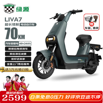 LUYUAN 绿源 LIVA7豪华版 新国标电动自行车 48V24Ah