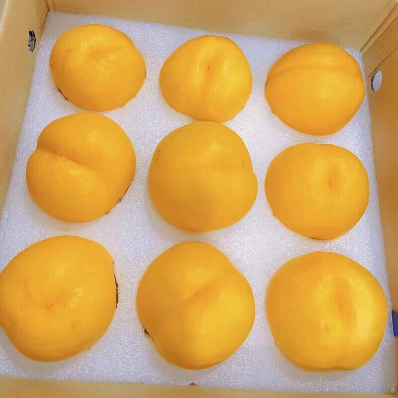 初石 顺丰 特大果 山东蒙阴 黄油桃 黄桃 2.5斤装（7-9 个） 22.95元（需买2件，需用券）