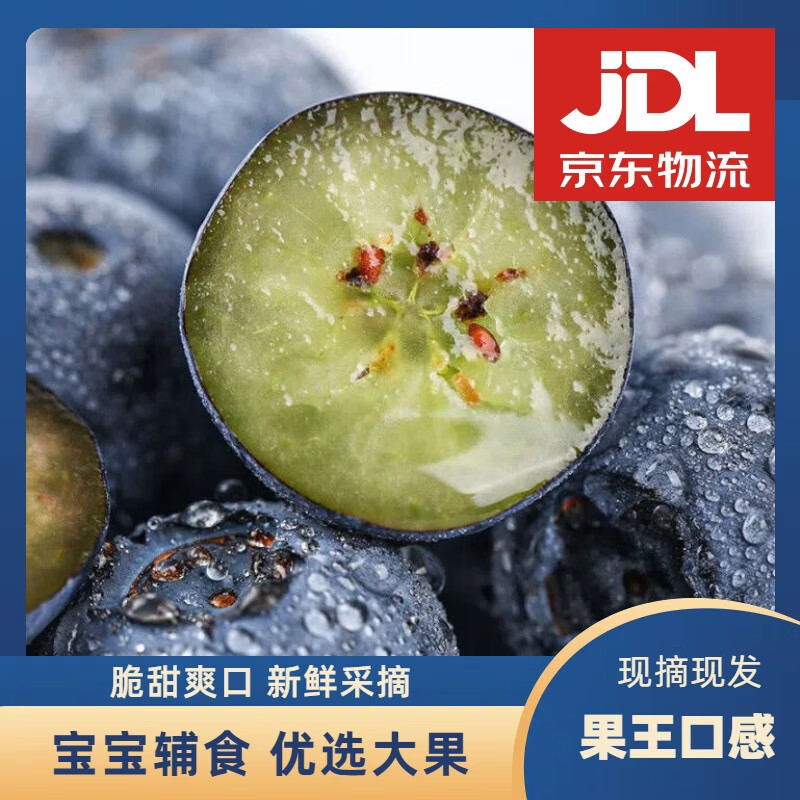 SHINE GRACE 新鲜高山蓝莓鲜果现摘当季孕妇宝宝应季水果送礼整箱 券后19.9元
