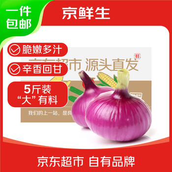 plus会员:京鲜生 洋葱 5斤