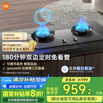 PLUS會員：小米 P1燃氣灶 JZT-MJ03CY 天然氣