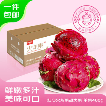 10號(hào)當(dāng)天：京覓 海南樹(shù)上熟 紅心火龍果 4.5斤單果400g