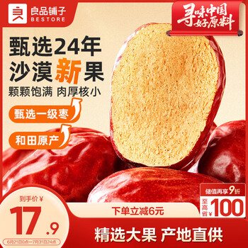良品铺子 和田一级大枣500g