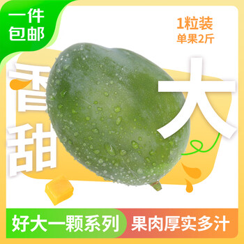 9.8元 京鮮生 攀枝花好大一顆凱特芒 單果2斤 1粒2斤裝 生鮮水果 源頭直發(fā)