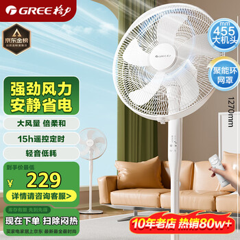 格力 GREE FD-40X77Bh5 落地扇 白色
