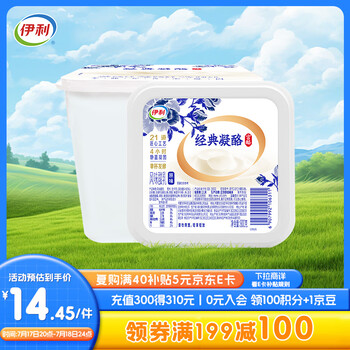 伊利 凝酪经典 低温酸奶 800g*6件