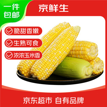 京鮮生 云南水果玉米 凈重5斤單果280g+ 甜玉米棒新鮮蔬菜應(yīng)季 源頭直發(fā)
