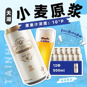 天湖啤酒 天湖 啤酒500ml*12听装 京东自营整箱