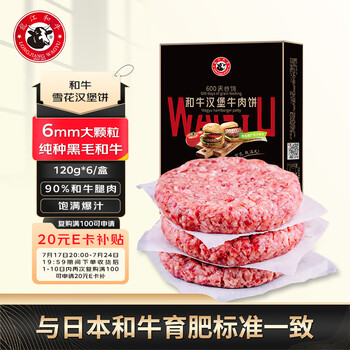 龍江和牛 谷饲雪花牛肉饼 720g 6片