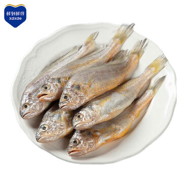 鲜到鲜得 鲜冻三去小黄鱼1155g(40条左右) 生鲜 源头直发 烧烤