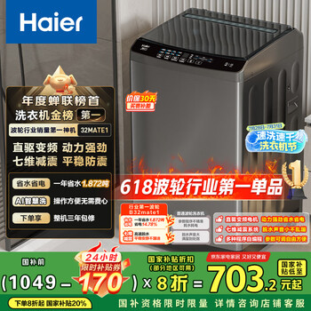 国家补贴：海尔 Haier 波轮洗衣机全自动家用 10公斤大容量 以EB100B32Mate1