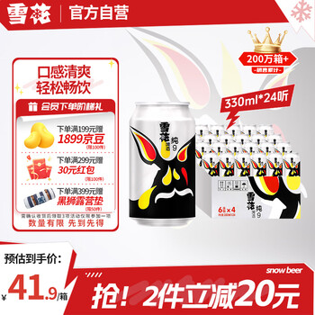 雪花 纯9啤酒 330ml*24听