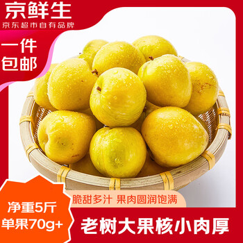 30日10點：京鮮生 韶關(guān)樂昌黃金奈李 凈重5斤（單果70g+）