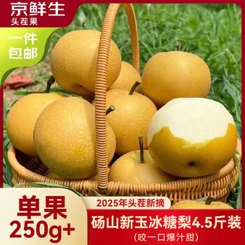 31日0点：京鲜生 安徽砀山新玉冰糖梨 4.5斤装 单果250g+ 生鲜水果源头直发