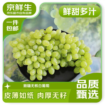 京鮮生 新疆無核白葡萄4.5斤 生鮮水果馬奶提子 源頭直發(fā)