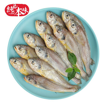 纯色本味 冷冻舟山小黄鱼 1.4kg/袋