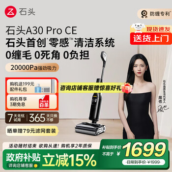 石頭 Roborock A30 Pro CE 無線洗地機