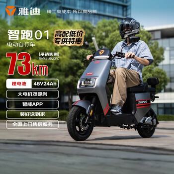 雅迪 智跑電瓶車 新國標(biāo)可上牌