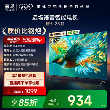 雷鸟 43雀5 25款 43英寸电视 4K高清远场语音 2+32GB大内存低蓝光护眼电视 43英寸 43F295C