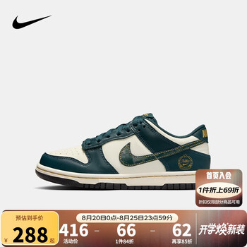 NIKE 耐克 男女低帮休闲板鞋DUNK轻盈缓震运动小白鞋时尚滑板鞋大童 FB9109-301 36